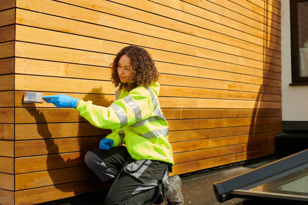 Best Brick Veneer Siding  in Carlin, NV